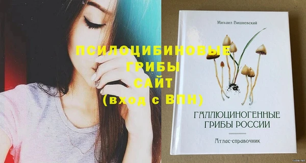 хмурый Козельск