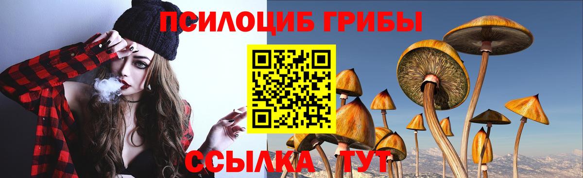 Галлюциногенные грибы мицелий  Вход с VPN  Галлюциногенные грибы Magic Shrooms  Кинешма 