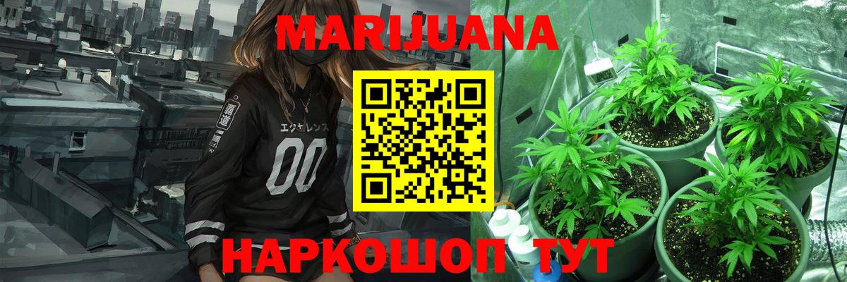 Бошки марихуана план  Вход с VPN  Каннабис конопля  Кинешма  Конопля THC 21% 